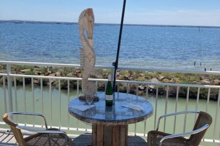 2023 06 10 LaNoisetteD'Oc-hyppocampe