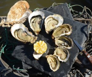 7-calibres-huitres-ouvertes-CAUSSEL-2
