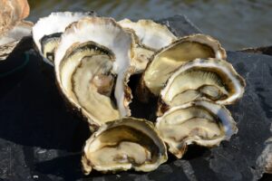 7-calibres-huitres-ouvertes-méli-mélo-CAUSSEL-3-