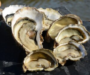 7-calibres-huitres-ouvertes-méli-mélo-CAUSSEL-3-