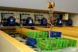 Bassin de finitions-La-Noisette-d'Oc1