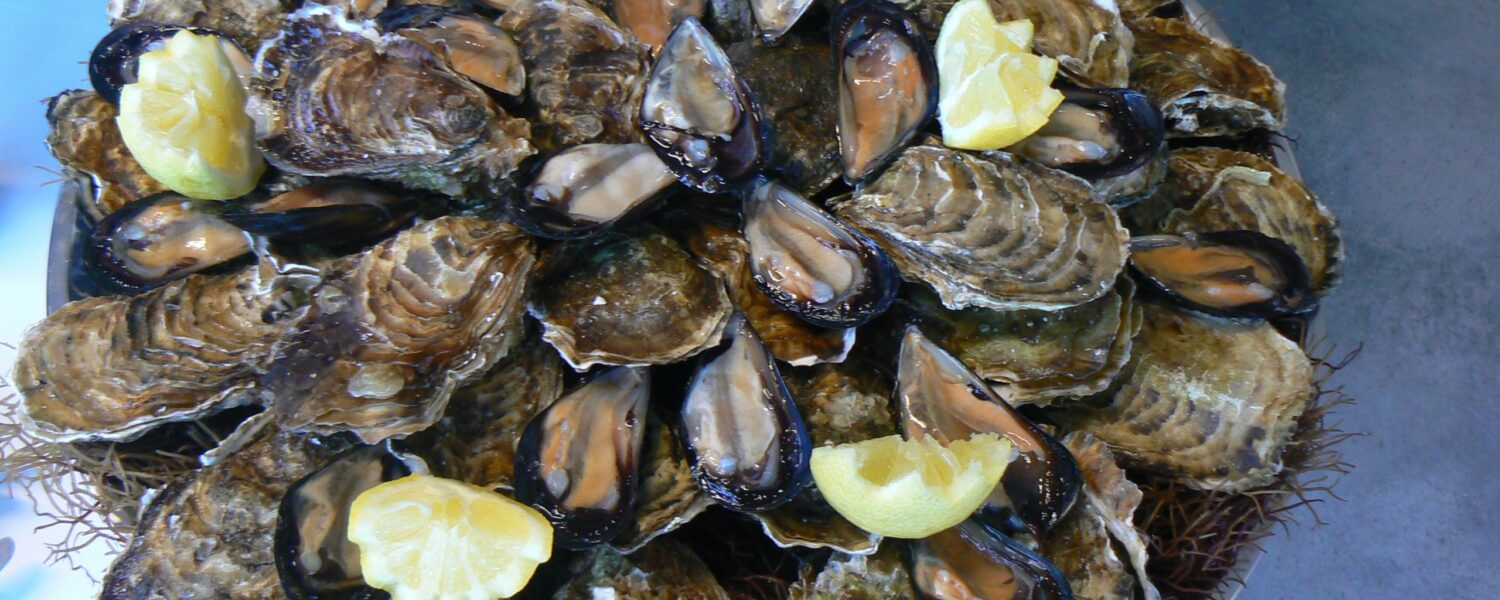 Apéritif dînatoire / Cocktail