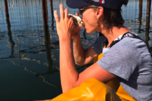 conchyliculteur-dun-jour-11