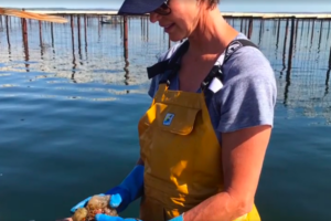 conchyliculteur-dun-jour-9